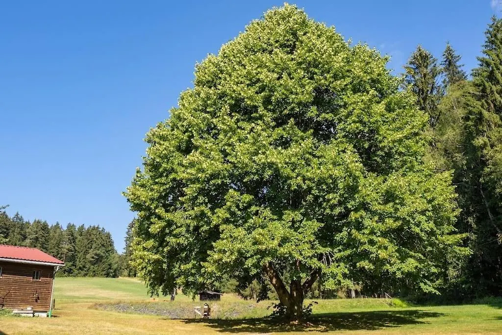 Ferienhof Stoehrmuehle Pullenreuth